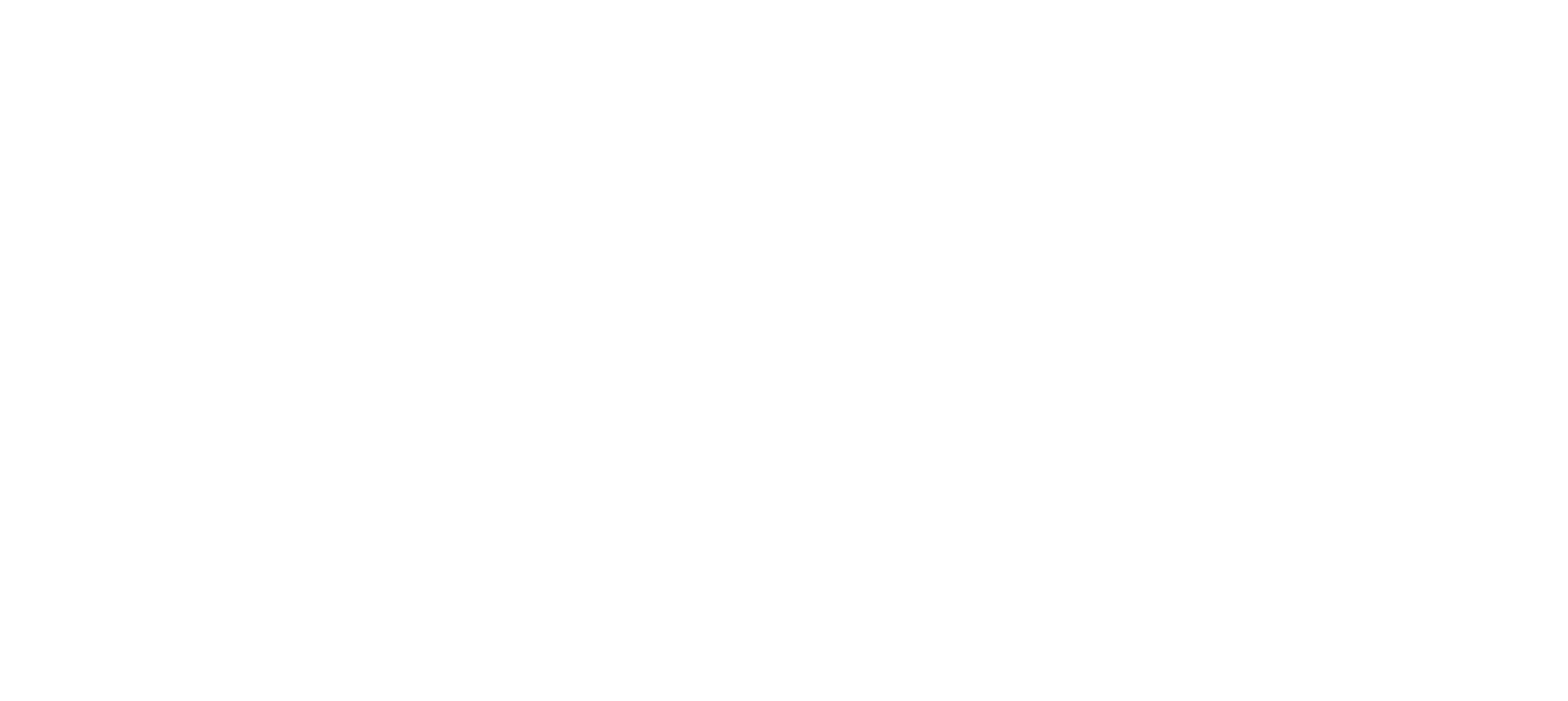 Startup de Bolso